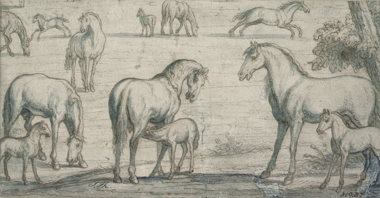 Sto och föl, 1600-talet (teckning) av Francis Barlow
