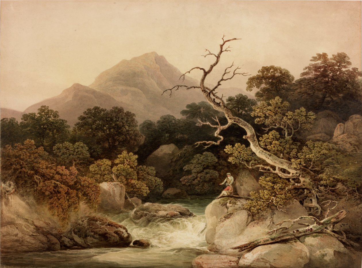 Ben Venue (kroppsfärg) av Francis Nicholson