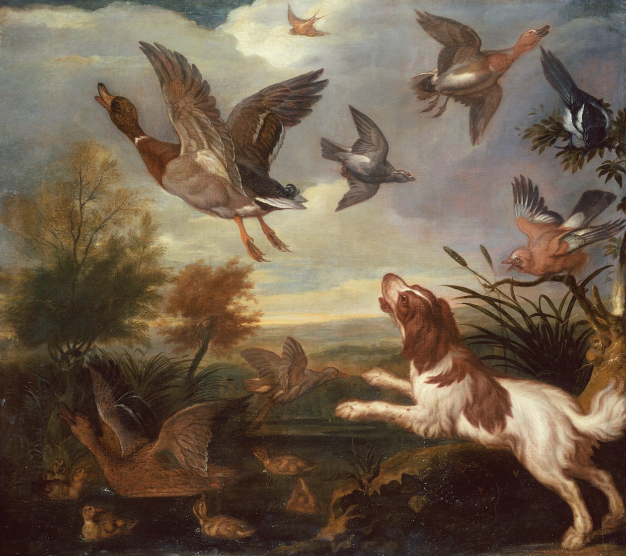 A Spaniel Flushing Mallard (olja på duk) av Francis Barlow