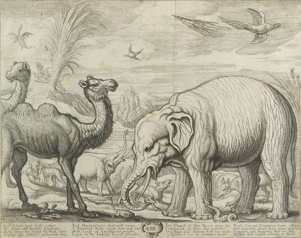 Afrika, 1672 av Francis Barlow