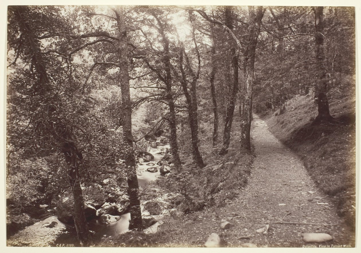 Dolgelley, View in Torrent Walk av Francis Bedford