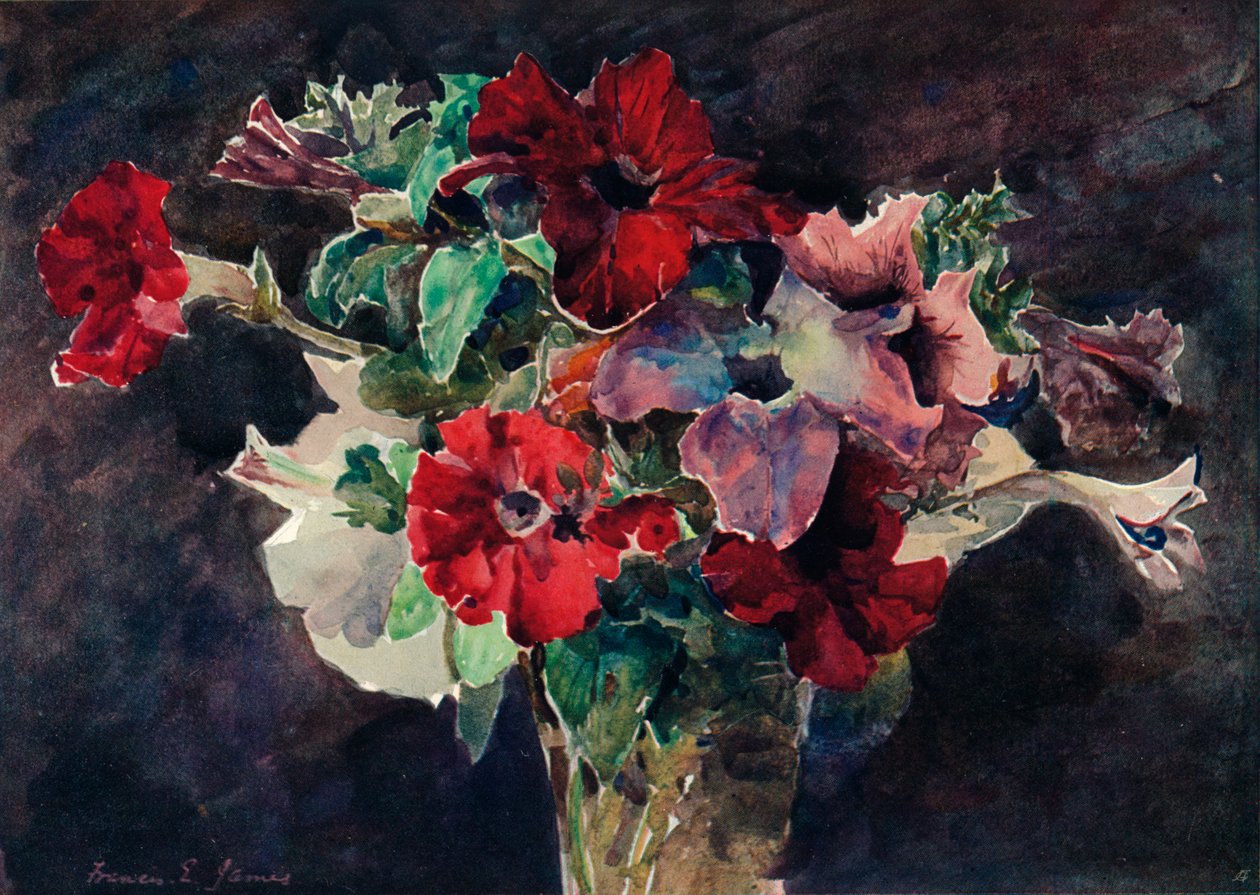 Petunior, c1869-1906, 1906 av Francis Edward James