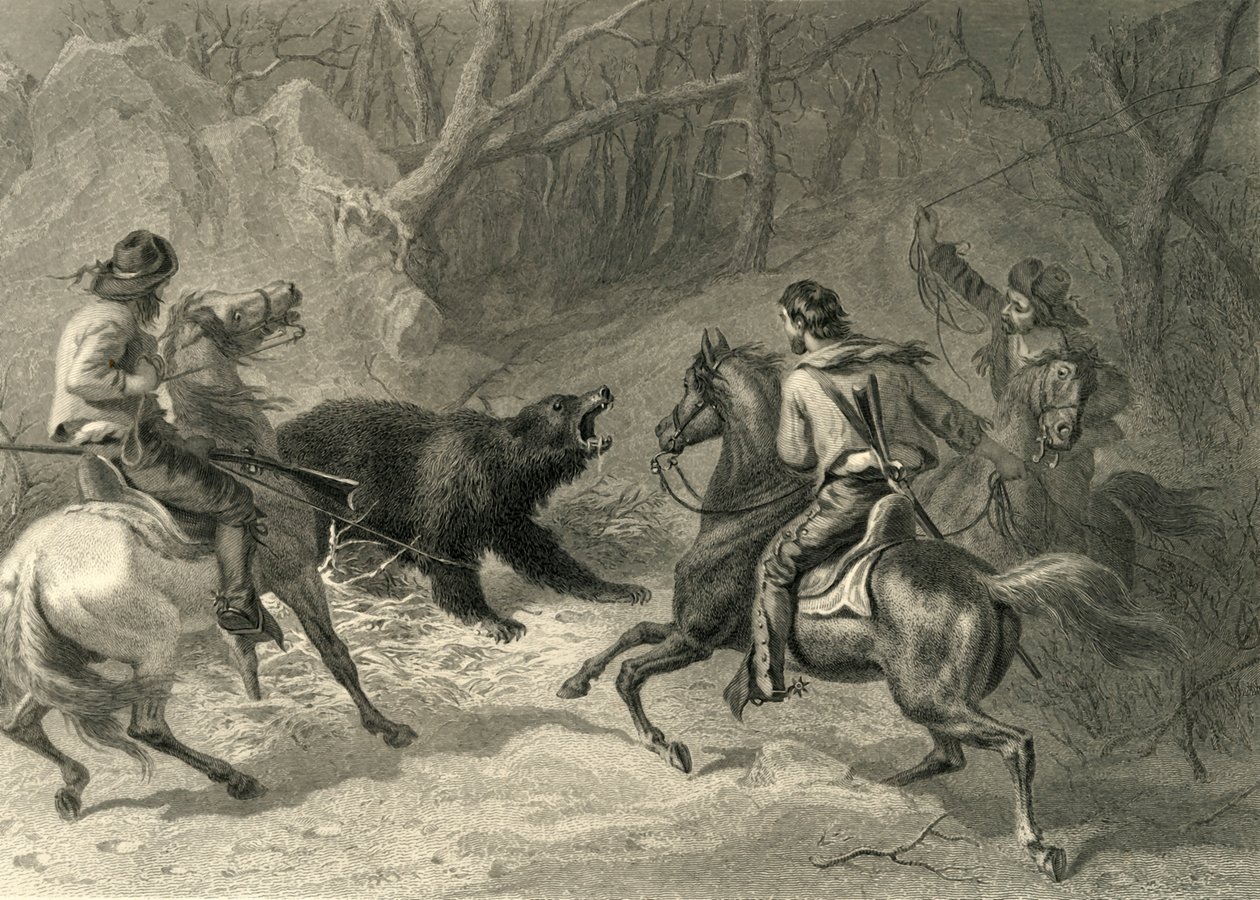 "Native Californians Lassoing a Bear", 1874. av Francis Holl