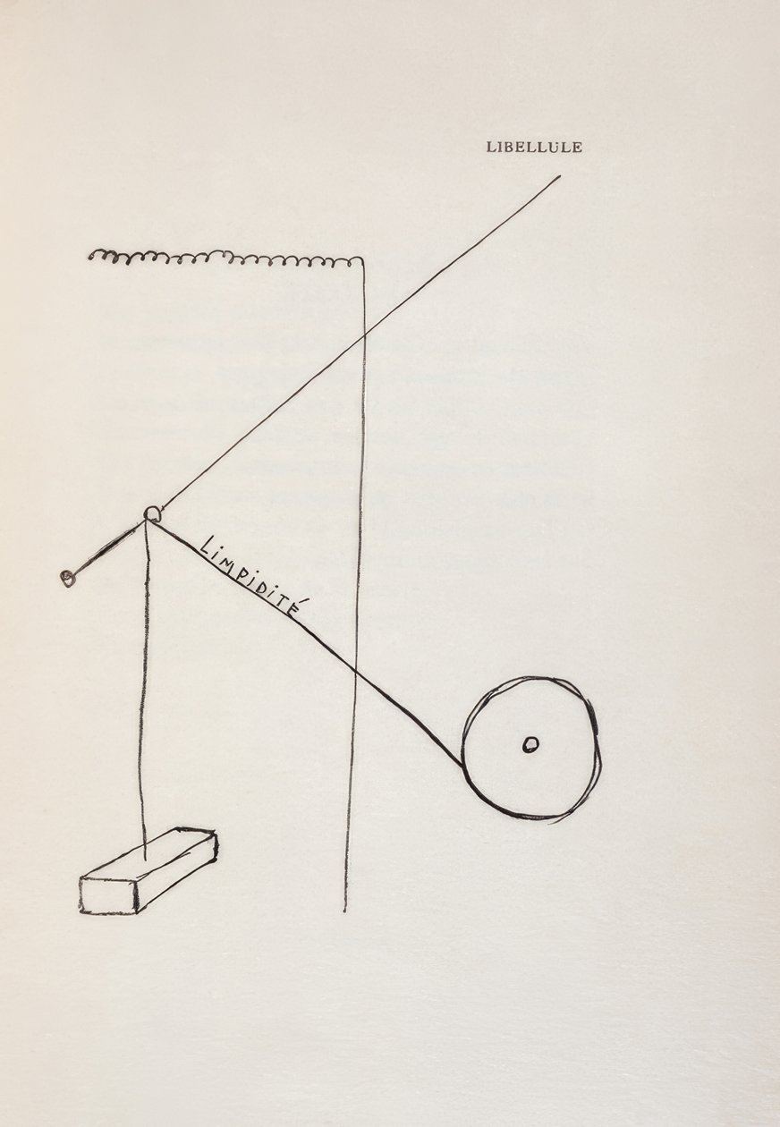 Trollslända av Francis Picabia