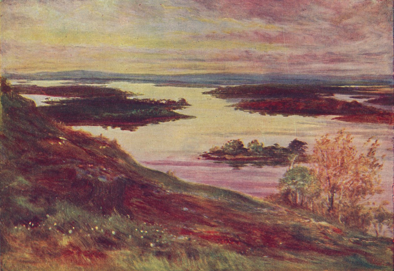 "An Irish Lough", 1910 av Francis S Walker