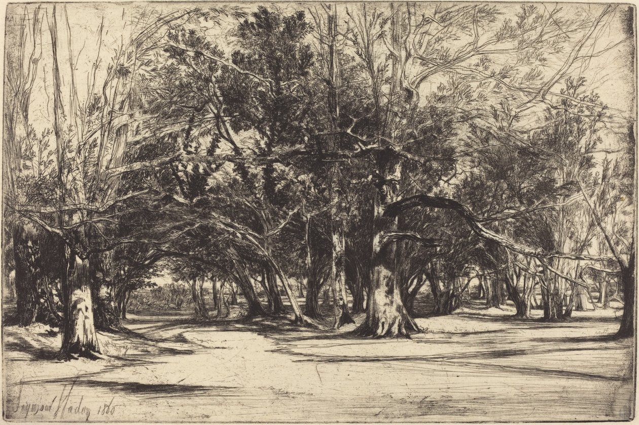 En på väg i Tipperary av Francis Seymour Haden