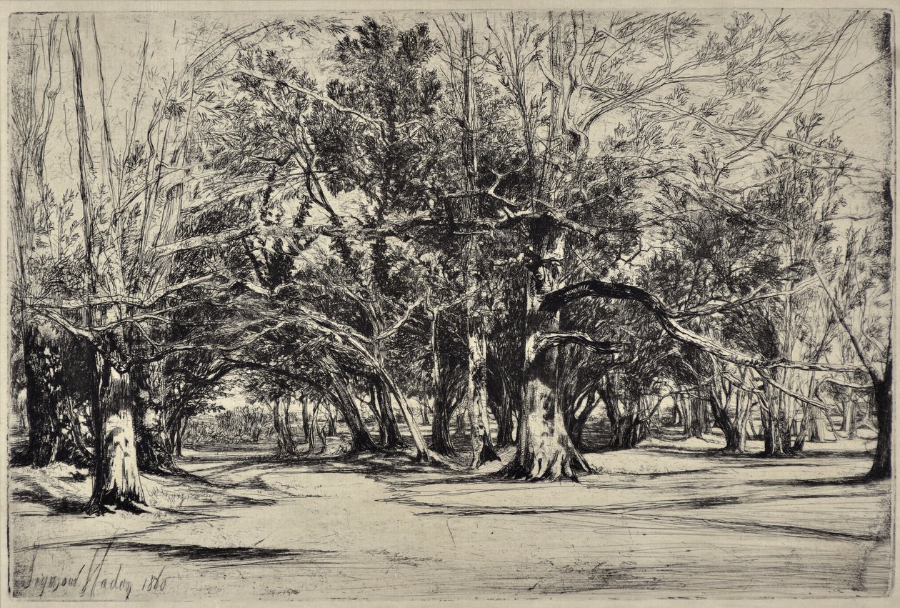 En by-road i Tipperary av Francis Seymour Haden