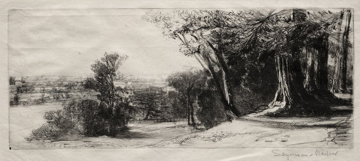 Tidig morgon, Richmond Park av Francis Seymour Haden
