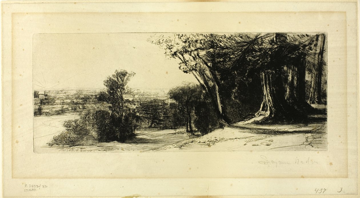 Tidig morgon, Richmond Park av Francis Seymour Haden