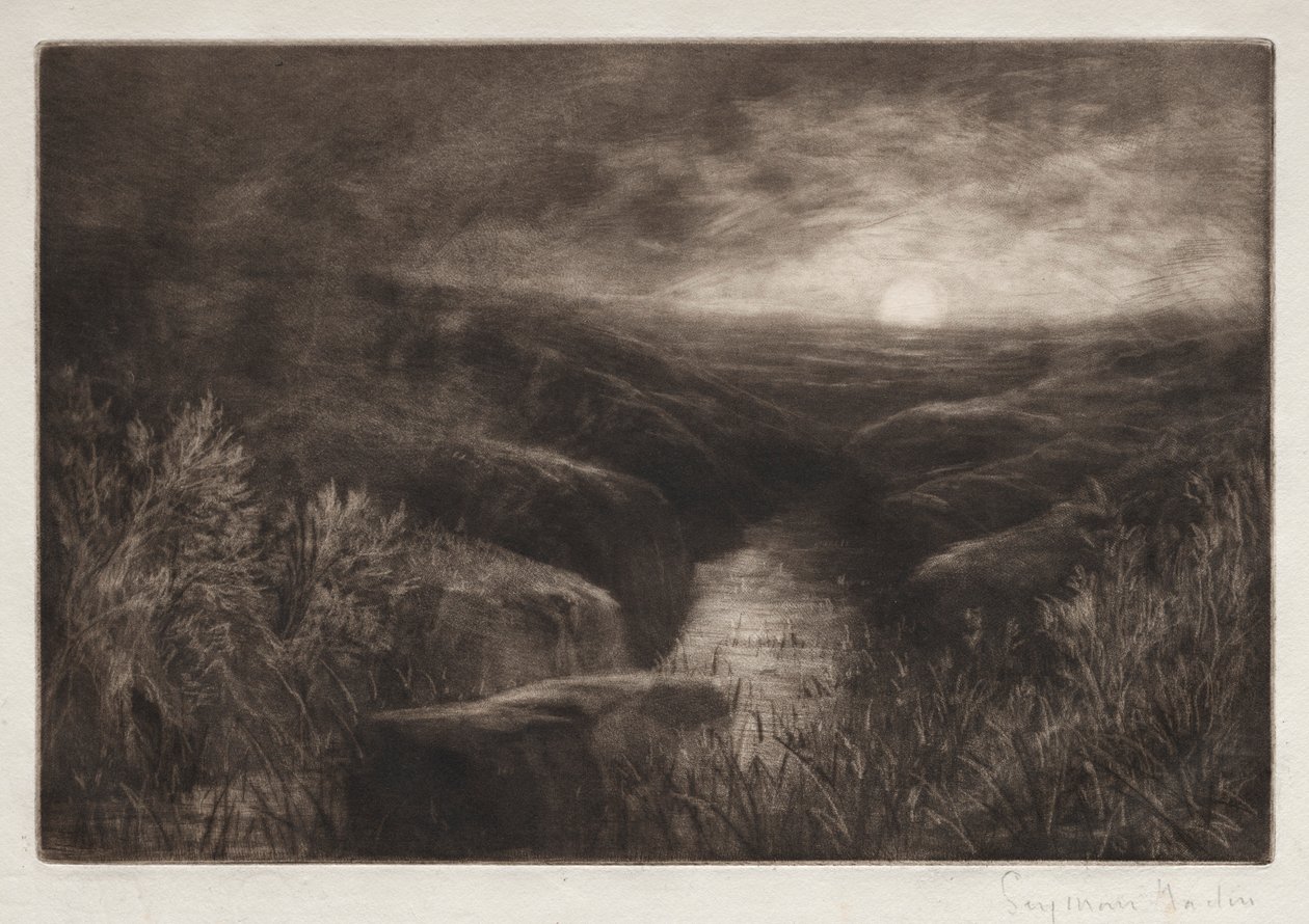 Myggans tillhåll. av Francis Seymour Haden