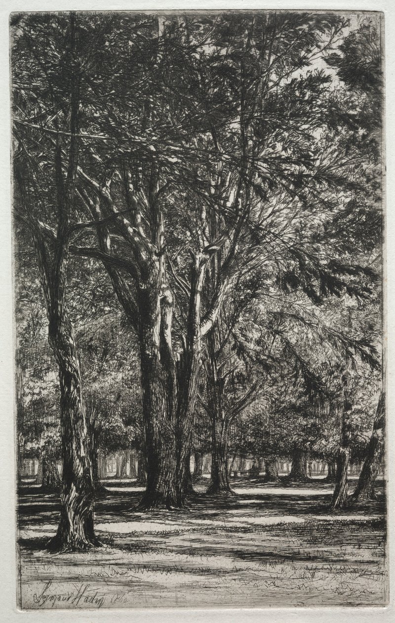 Kensington Gardens The Large Plate, 1860. av Francis Seymour Haden