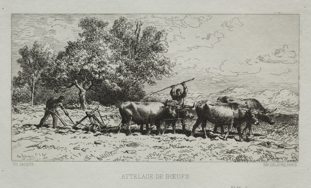 Team av Oxen av Francis Seymour Haden