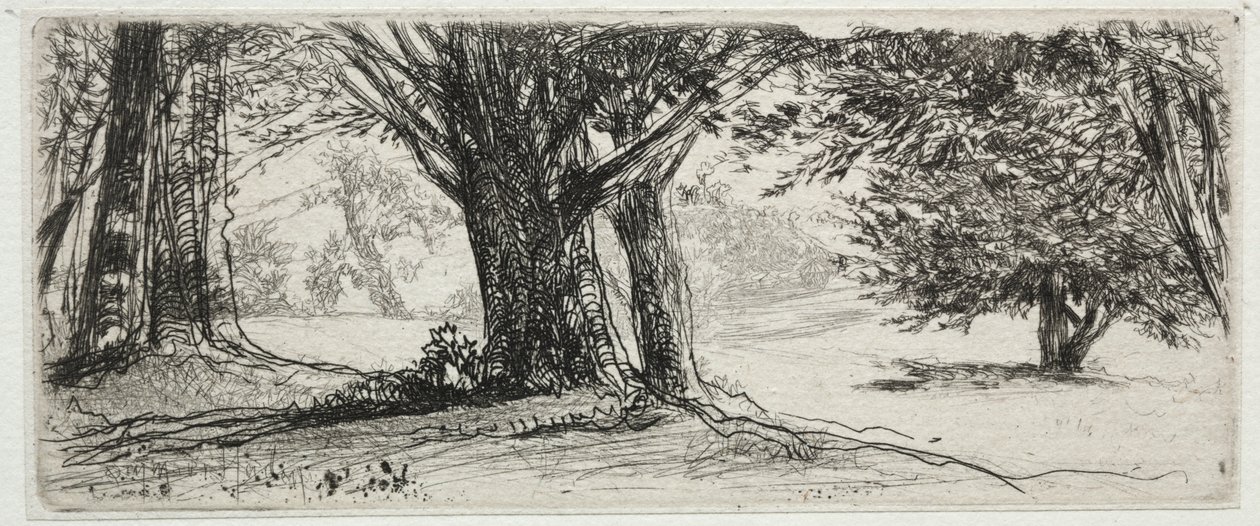Järnekfältet av Francis Seymour Haden