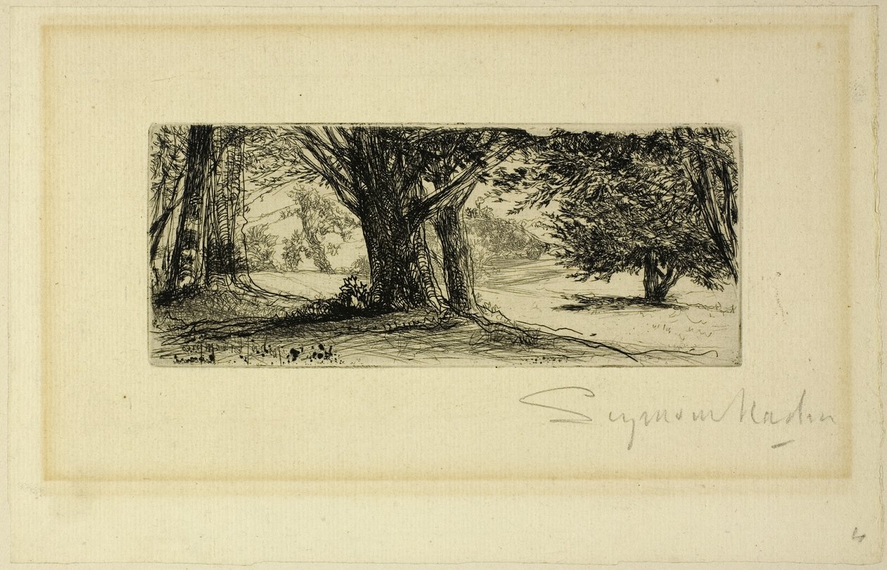 Holly Fields av Francis Seymour Haden