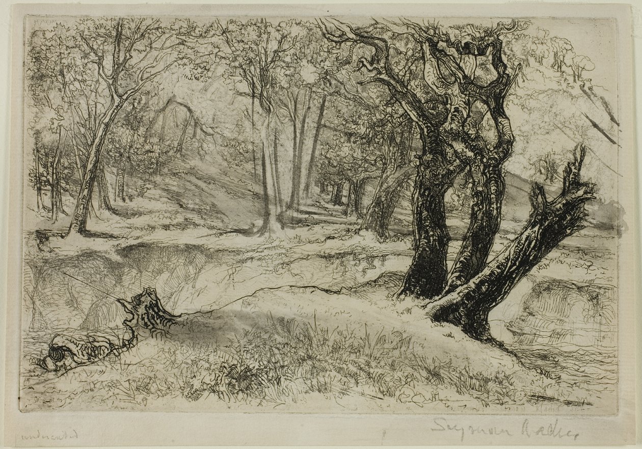 De tre systrarna av Francis Seymour Haden