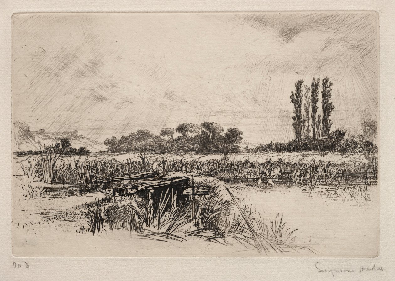 Water Meadow, 1859. av Francis Seymour Haden