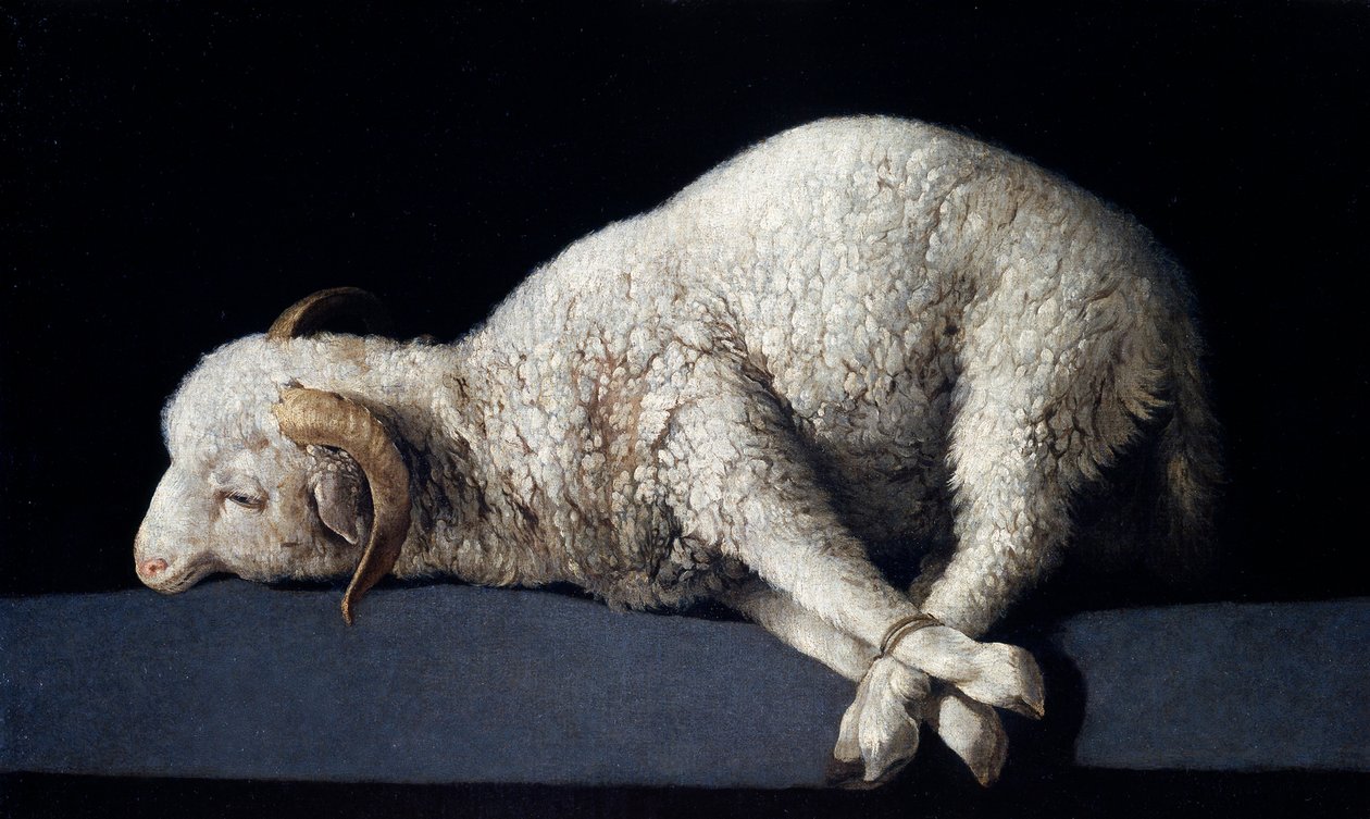 Agnus Dei av Francisco de Zurbaran