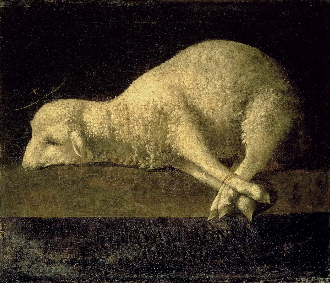 Agnus Dei av Francisco de Zurbaran
