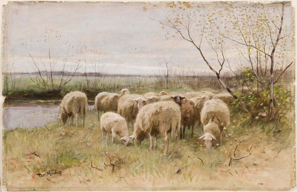 Får av Francois Pieter ter Meulen