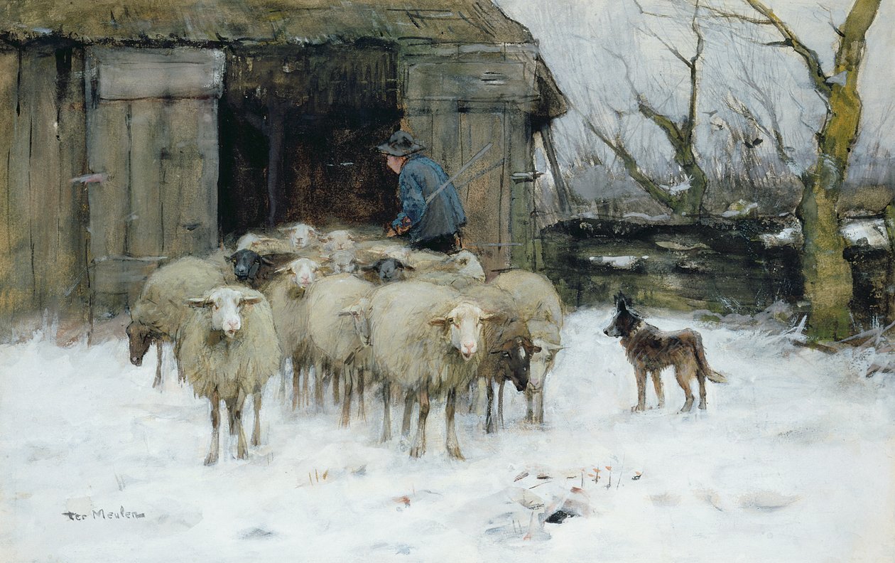 Får på en vintermorgon av Francois Pieter ter Meulen
