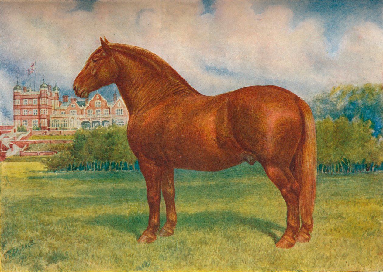 Suffolk far Prince Wedgwood, c1902 c1910 av Frank Babbage