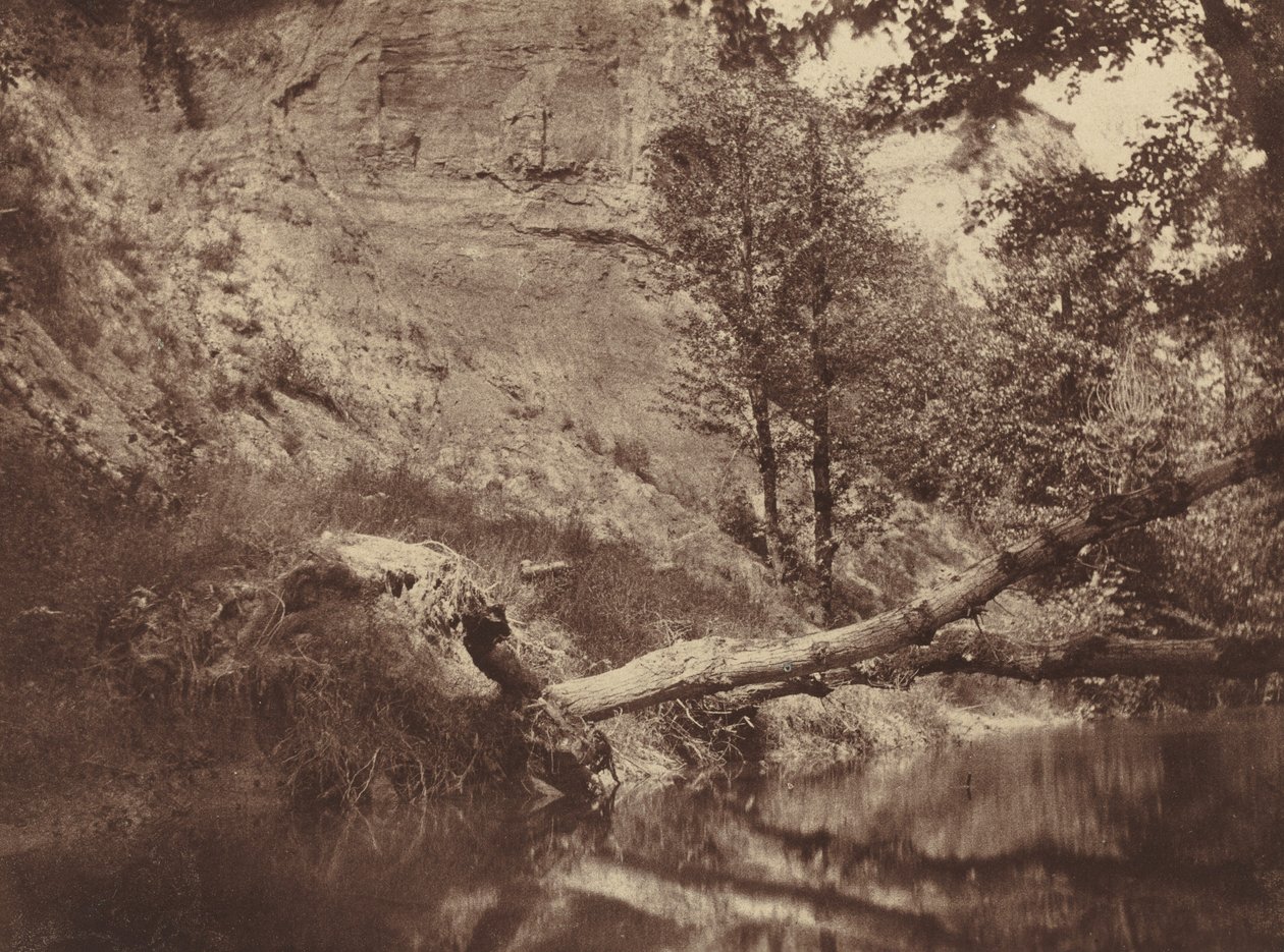 Riverbank, ca. 1855. av Frank Chauvassaigne