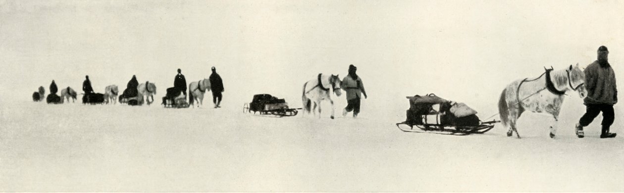 Ponnyer i mars 1911, 1913 av Frank Debenham