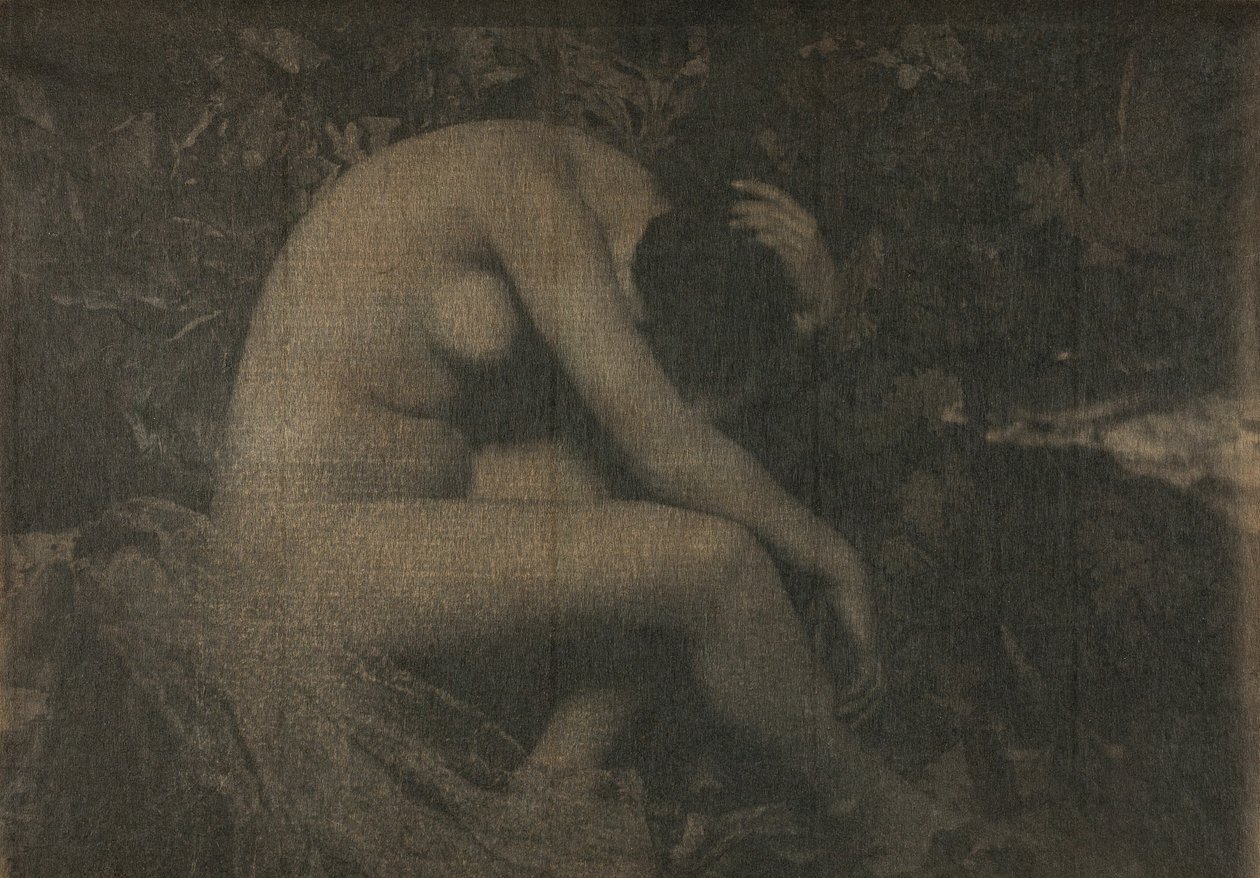 Cikadan, 1898. av Frank Eugene