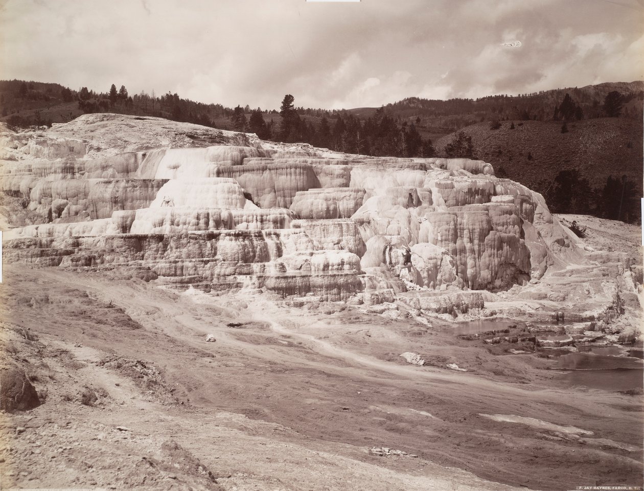 Minerva Terrace, Mammoth Hot Springs av Frank Jay Haynes