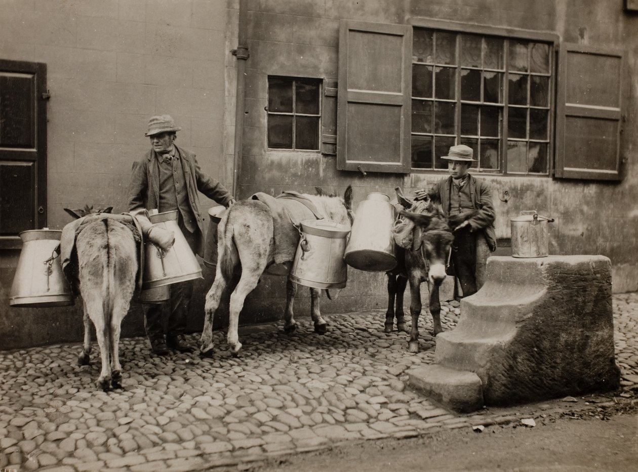 Mjölk åsnor av Frank Meadow Sutcliffe