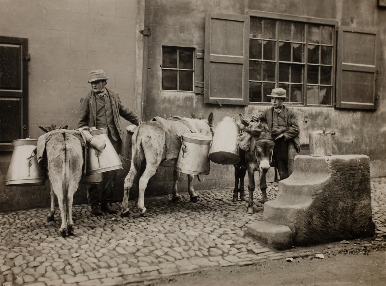 Milk Donkeys, ca. 1890. av Frank Meadow Sutcliffe