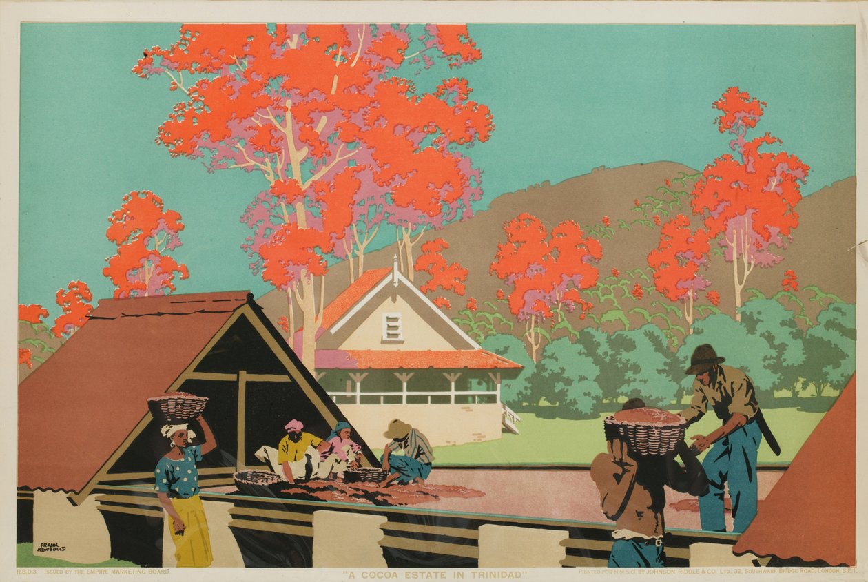 En kakaogård i Trinidad (färg litho) av Frank Newbould