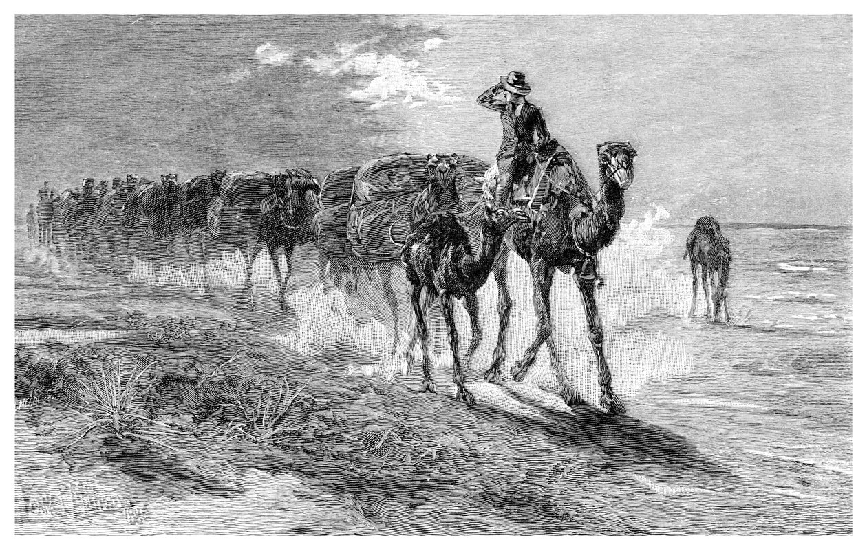 Kameler som bär ull, 1886. av Frank P. Mahony