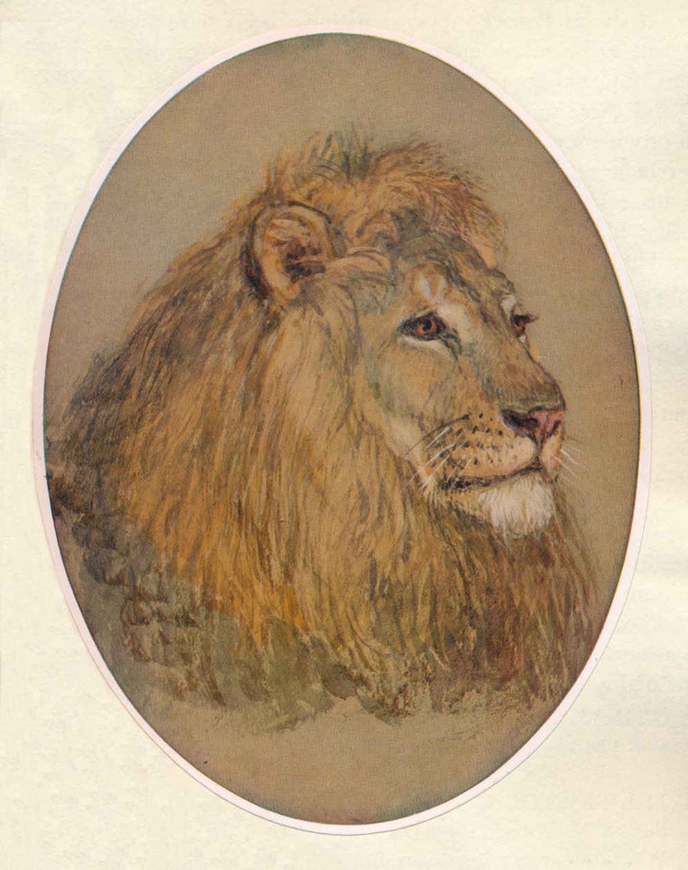 Lions huvud, c1896 av Frank Paton