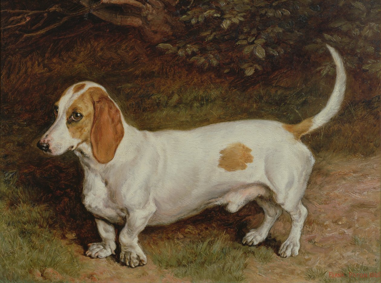Min favorittax, 1885 av Frank Paton