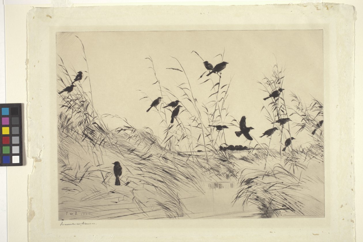 Blackbirds And Rushes (bläck på papper) av Frank Weston Benson