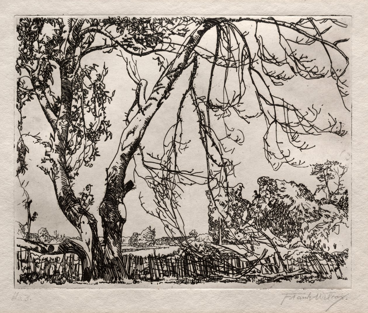 Äppelträd av Frank Wilcox