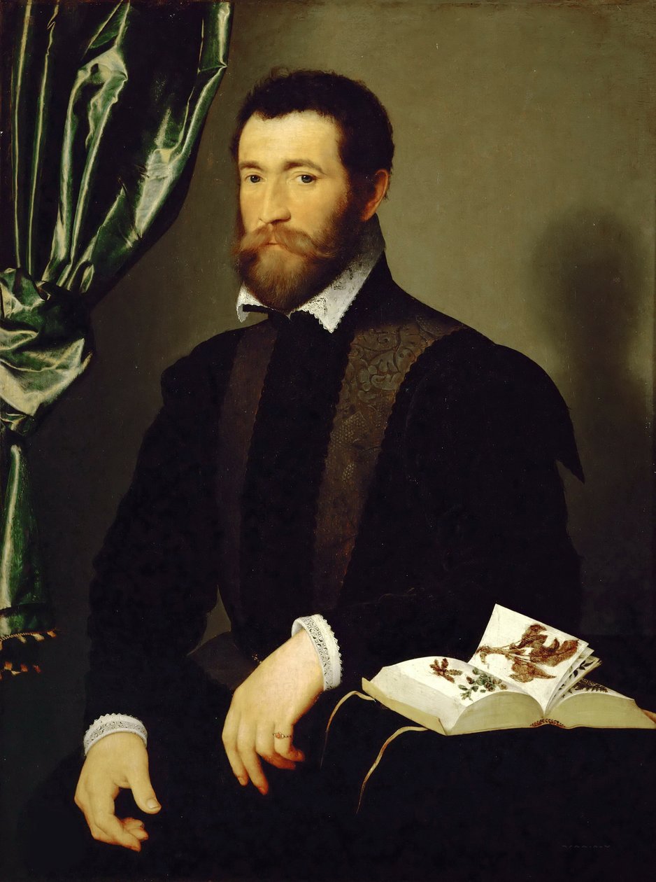 Porträtt av Pierre Quthe, apotekare, 1562. av François Clouet