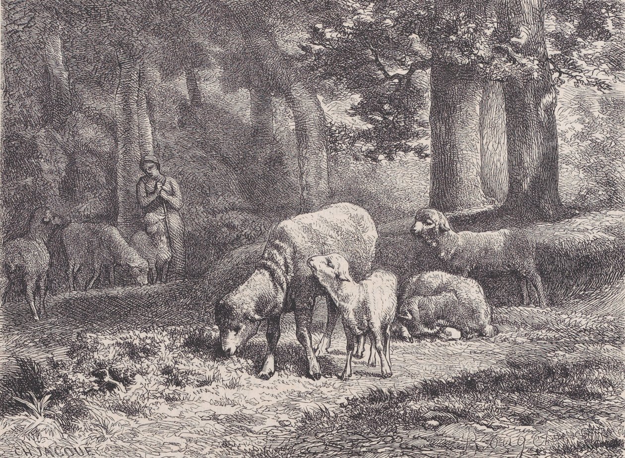 Fåren, från Magasin Pittoresque, 1862. av François Rouget