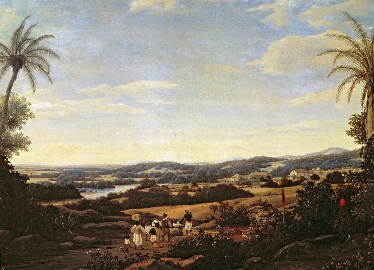 Brasilianskt landskap med en plantage av Frans Post