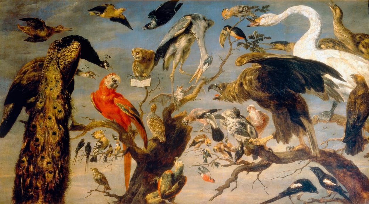 Fågelkonserten av Frans Snyders or Snijders