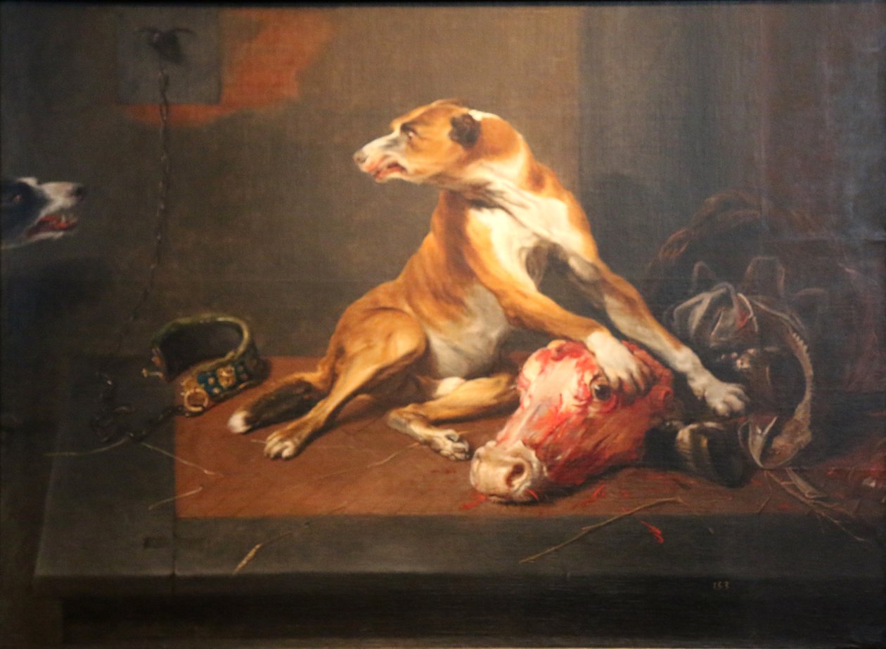 Två hundar i ett skafferi av Frans Snyders or Snijders