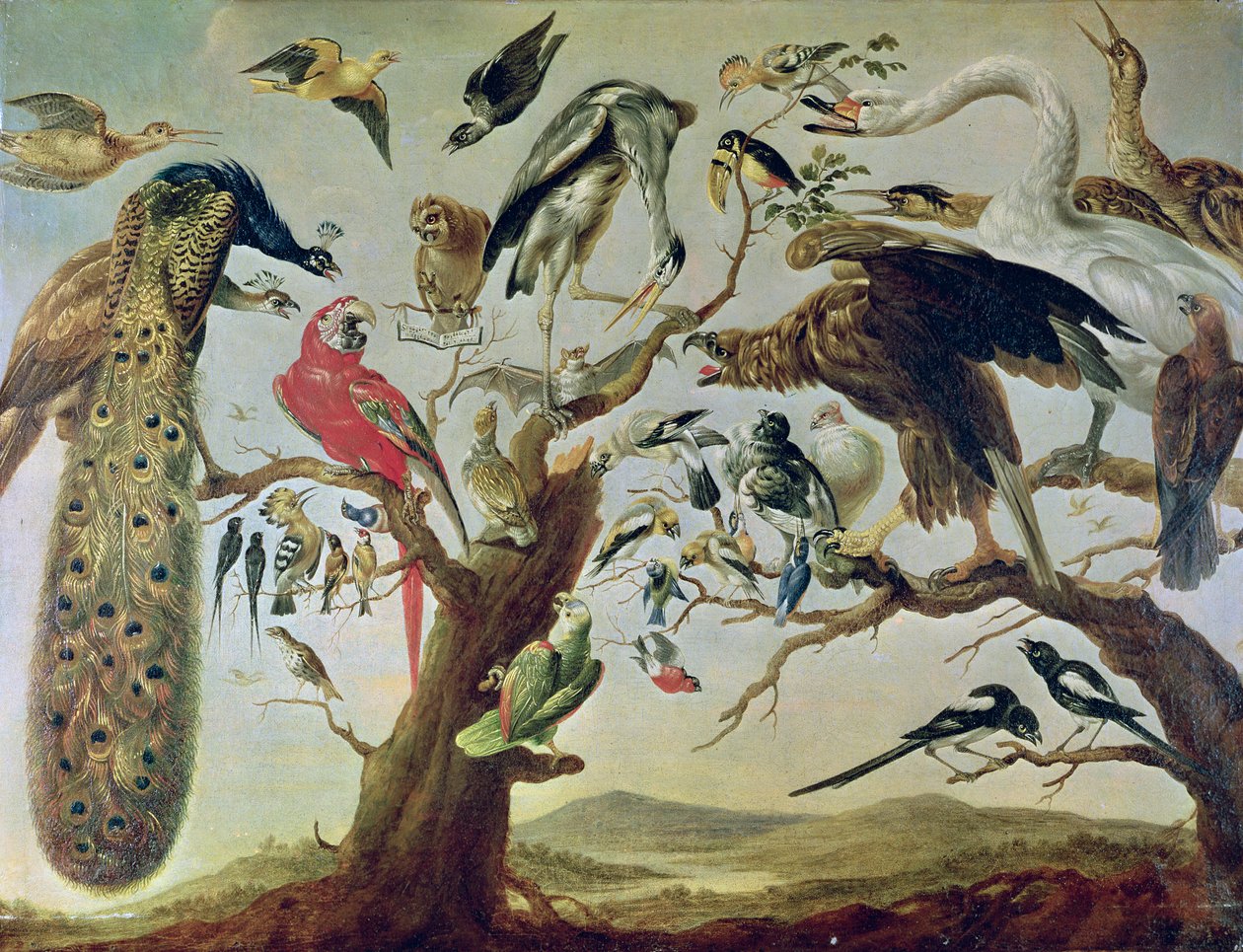 Fuglens Koncert swed av Frans Snyders or Snijders