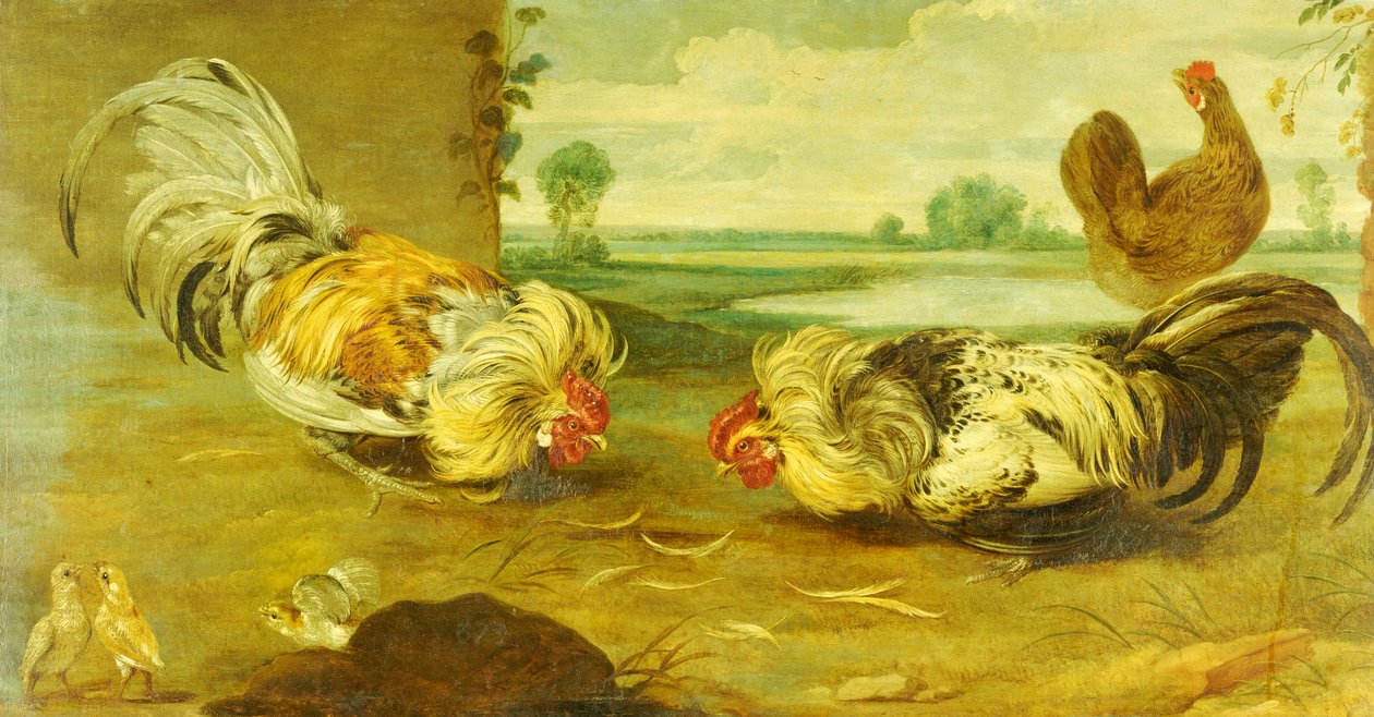 En tuppkamp av Frans Snyders or Snijders