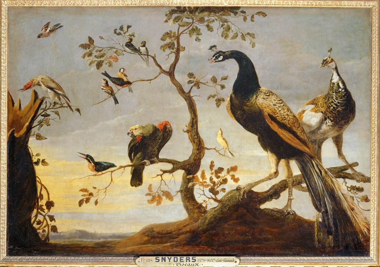 Poseaux på grenar ... av Frans Snyders