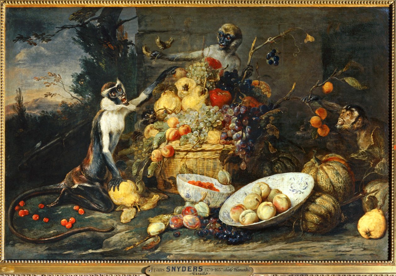 Tre apor, frukttjuvar... av Frans Snyders