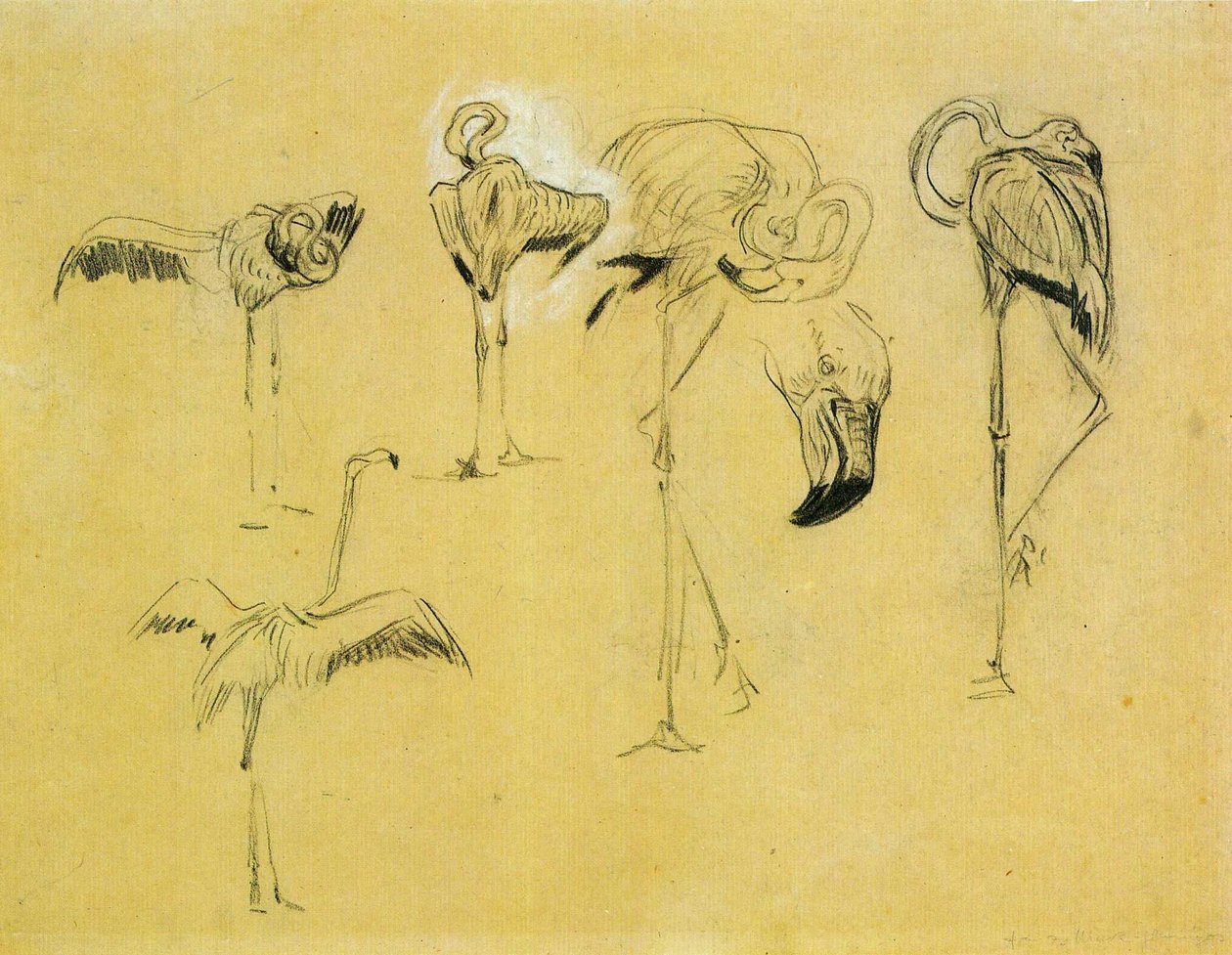 Flamingos av Franz Marc