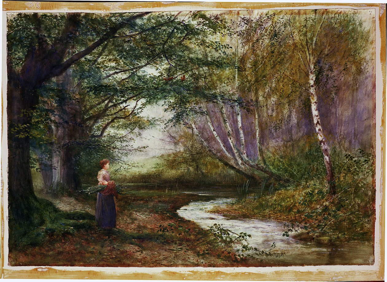 Burnham Beeches, höst av Fred Hines