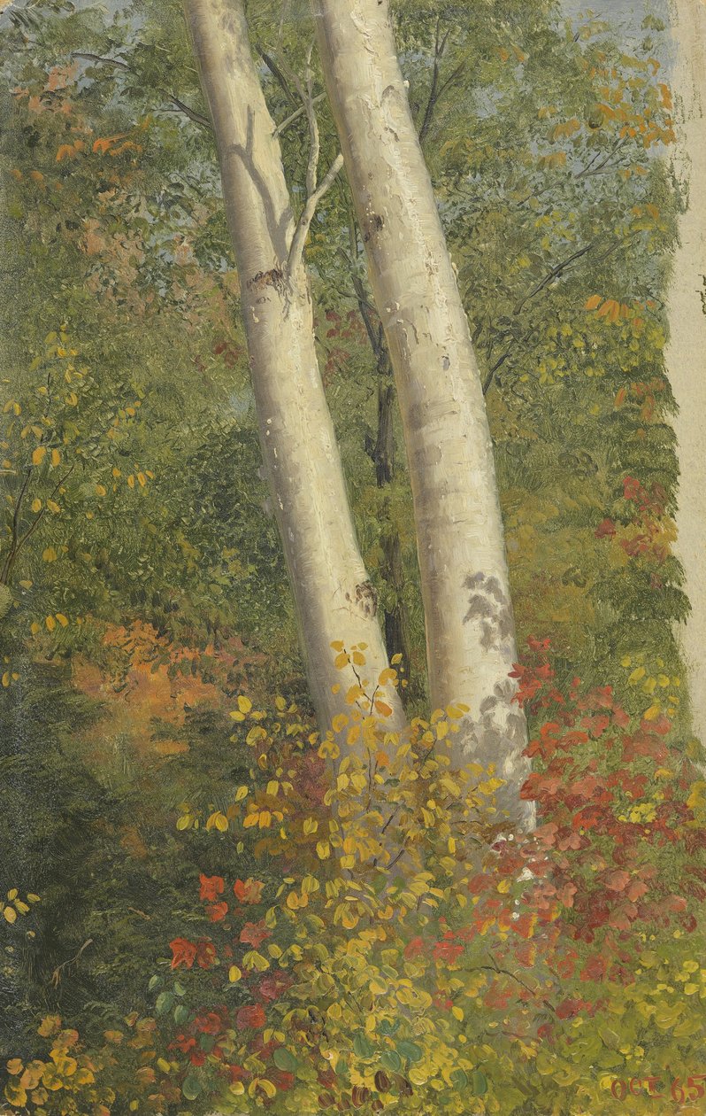 Björkträd på hösten av Frederic Edwin Church