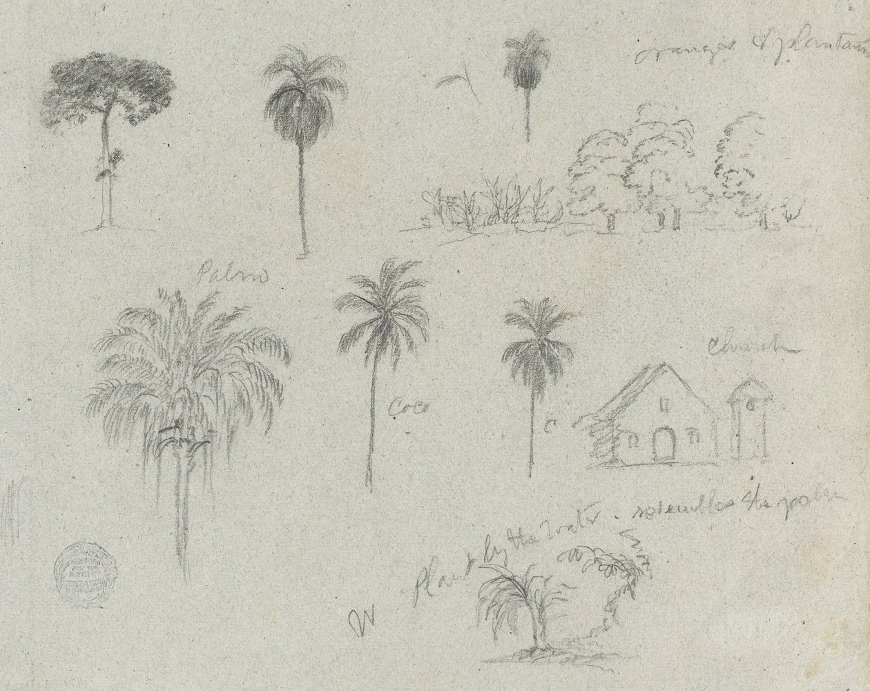 Skisser från Rio Magdalena, Colombia. Botaniska skisser. En kyrka. Liknar -103. av Frederic Edwin Church